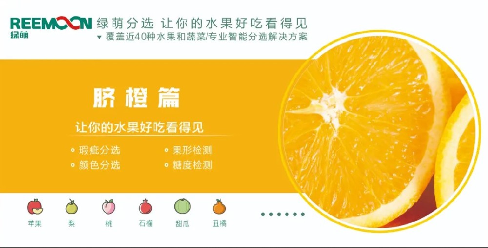 糖度可視化 好吃看得見【臍橙篇】來源：客家新聞網訊 記者何亮報道據悉，2019年，贛州市臍橙種植面積達到162萬畝、產量122萬噸，產值129億元。?20多年前，一批和新奇士品質相近的贛南臍橙，用低于新奇士一半的價格出售，銷量卻并不見得比新奇士好。如今，贛南臍橙產值129億元，是什么讓贛南臍橙聲名鵲起？綠萌臍橙果表瑕疵